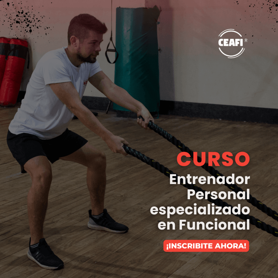 Curso de nutrición deportiva vegetariana