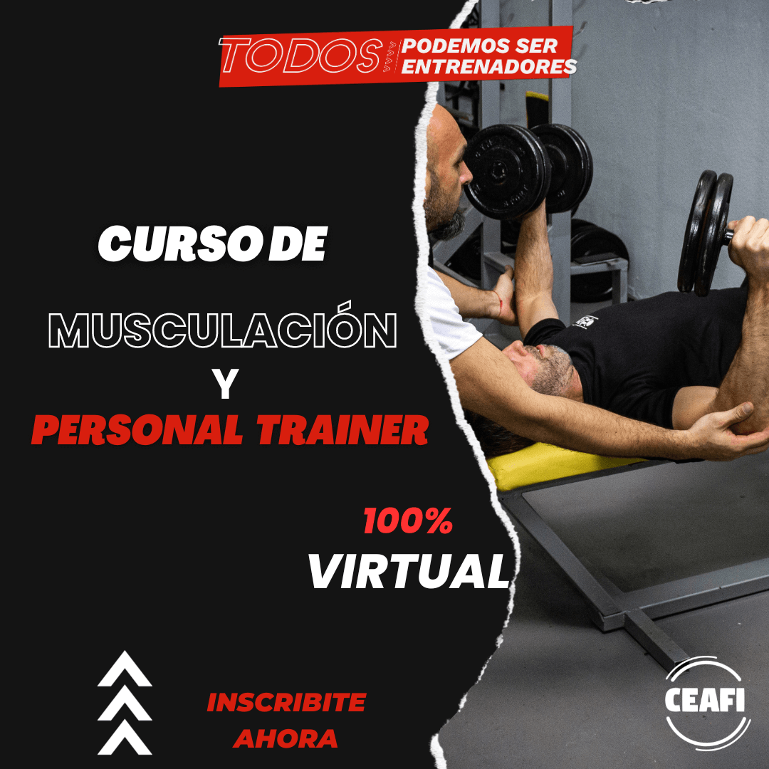 Musculacion y personal trainer virtual