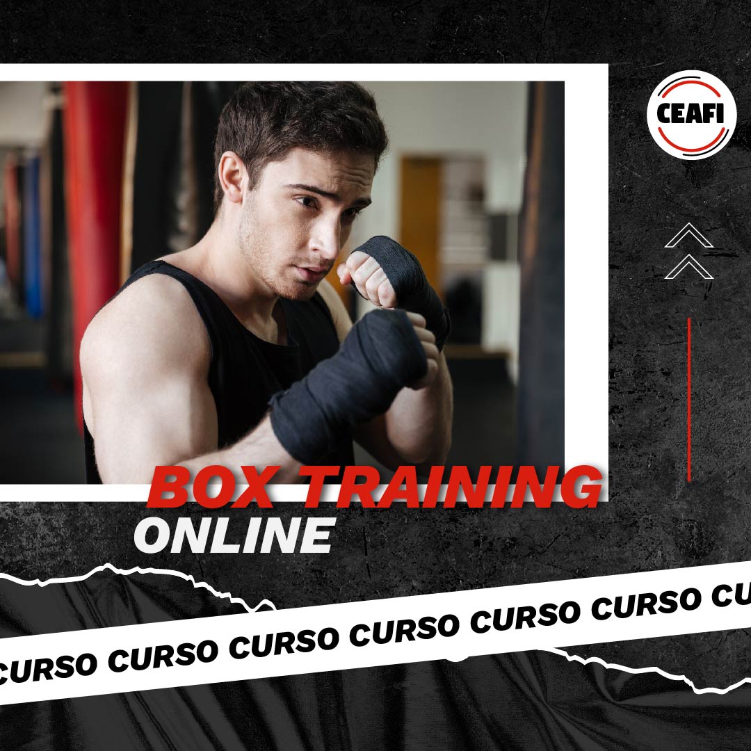 Curso de Box Training